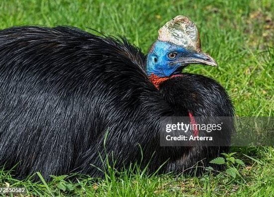 gettyimages 1172550582 594x594 1