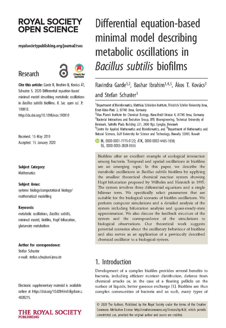 Minimalist living essentials 2026