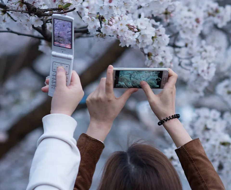 Best budget smartphones 2026 comparison showing features and prices